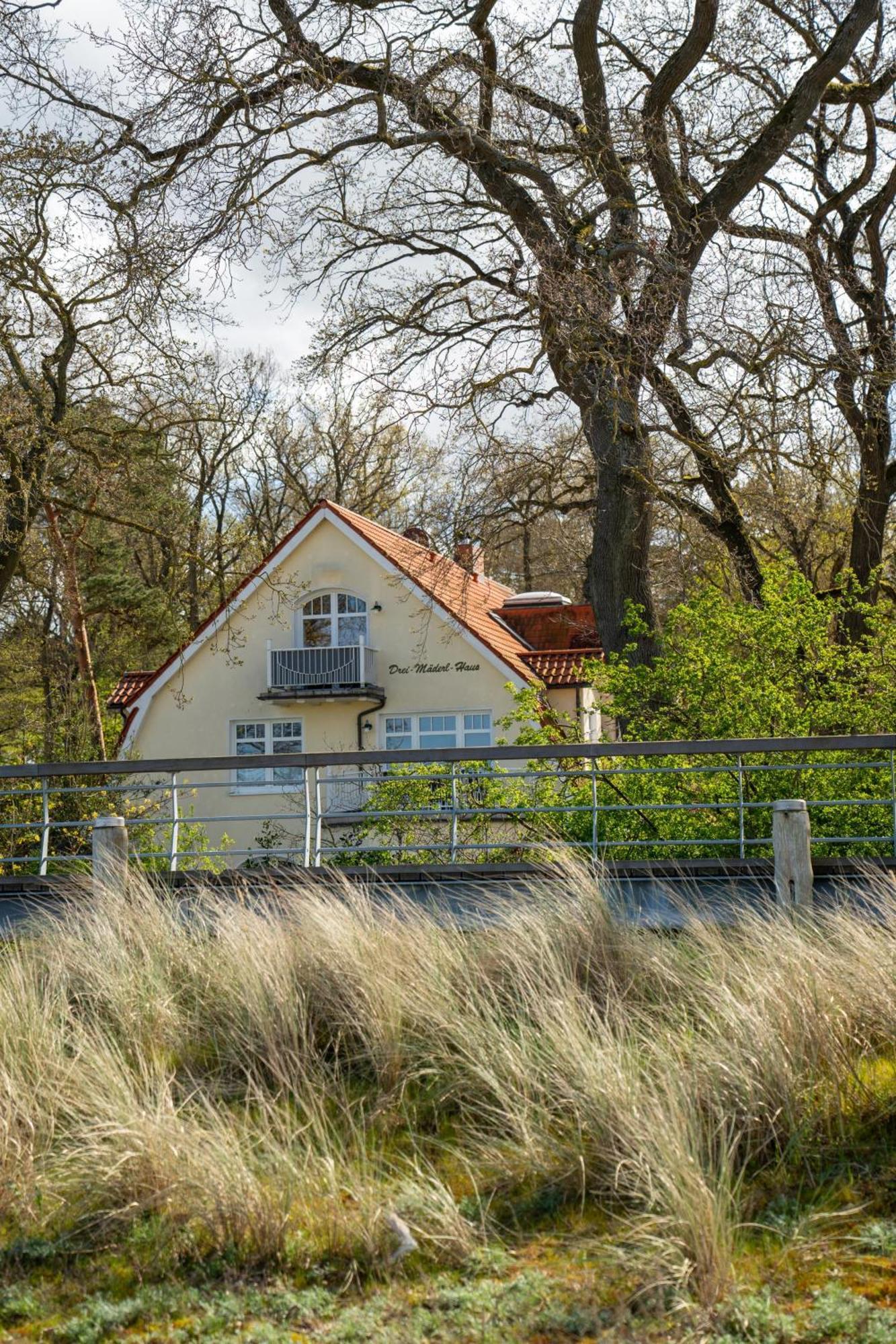 Strandvilla Drei Maederl Haus 볼텐하겐 외부 사진